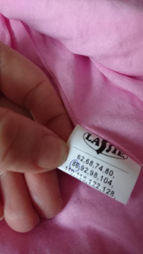 Prechodna bundicka, 86