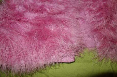 Paperova pelerinka monsoon, monsoon,116