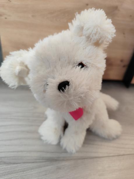 Plysovy stekajuci pes, 