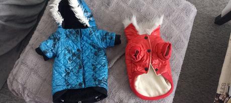 Bundy pre maleho psa, 