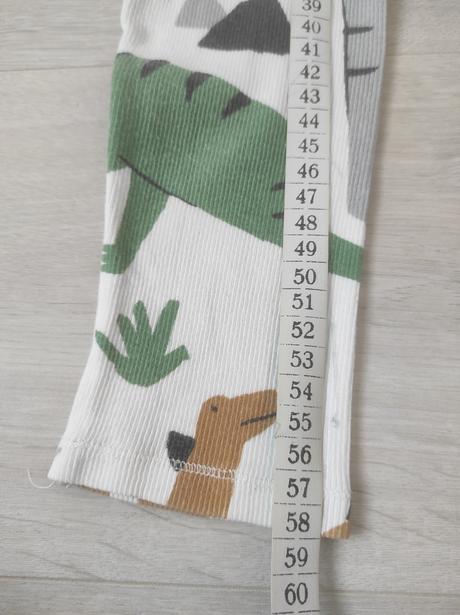 Rebrovane leginy, zara,116