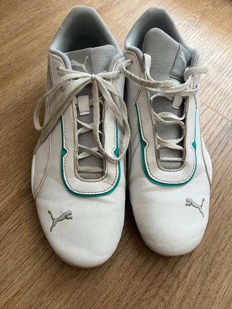 Halovky puma, puma,39