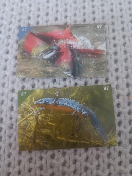 Nálepky animal kingdom, 