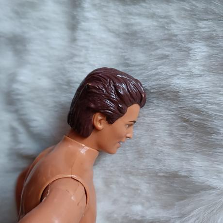 Barbie ken,