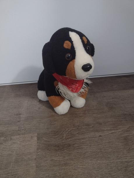 Plyšový psík, 