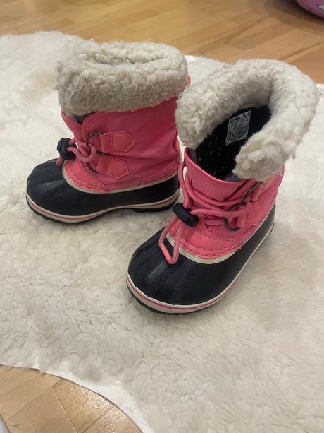 Snehule sorel, sorel,25