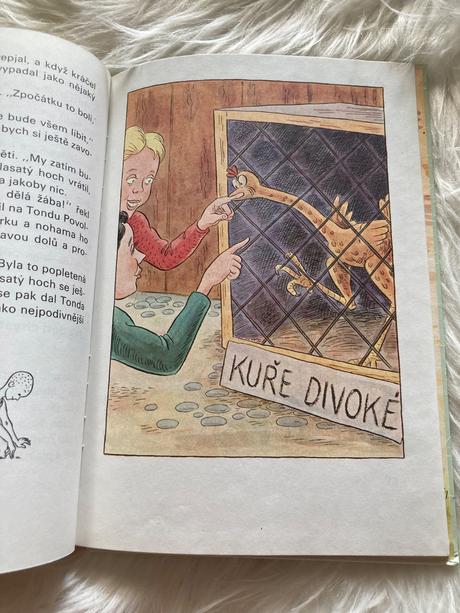 Kuře napipi a jeho přátelé ondřej sekora (1991),