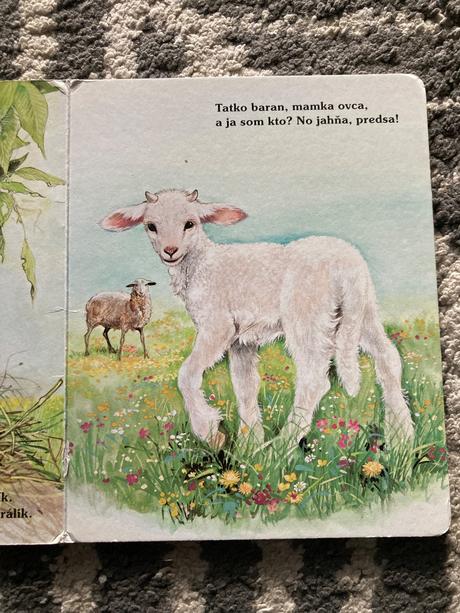 Moje najmilšie zvieratká na dvore (leporelo),