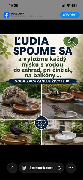 Nezabudnime na zvieratá: Vyložte von misku s vodou