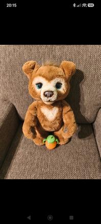 Medvedík cubby fureal, 