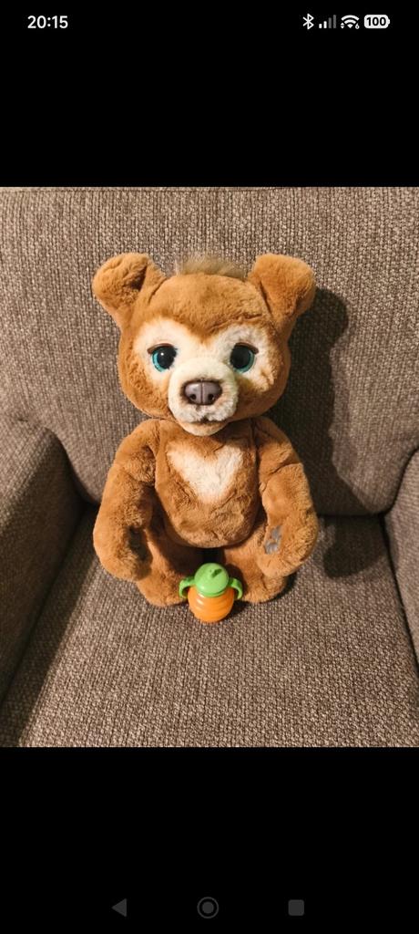 Medvedík cubby fureal, 