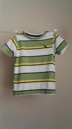 Tricko pasik, palomino,104