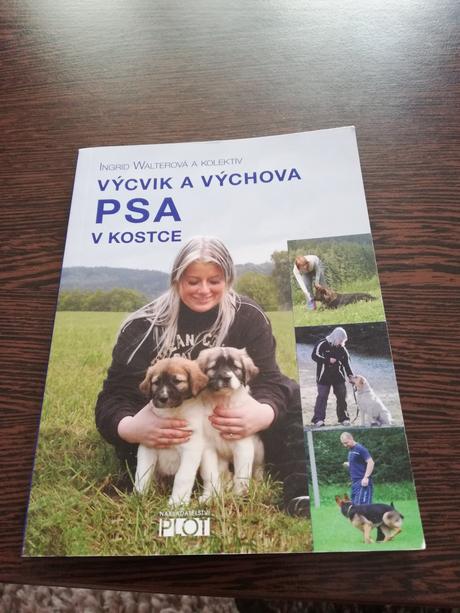 Vycvik a vychova psa v kostce, 