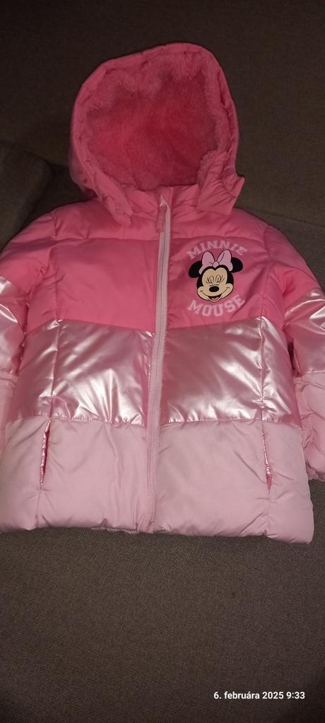 Bundicka minnie, disney,110