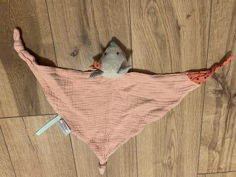 Mojkac muselinovy myška, 