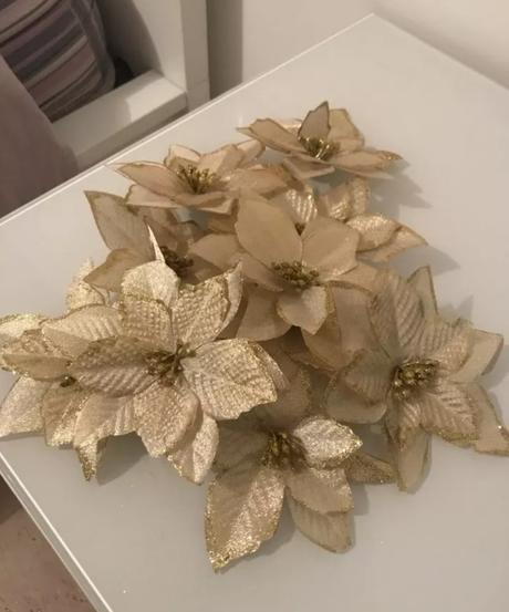 10 - 20 ks vianočnej ruže, zlatá farba,