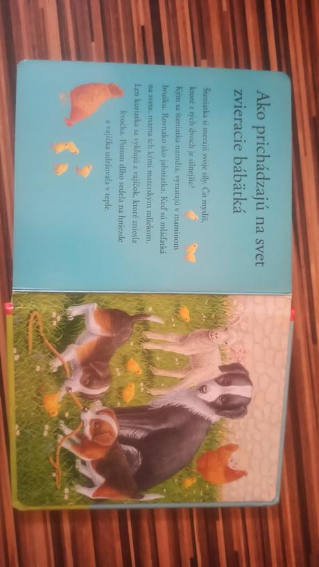 Mladata-kniha s puzzle,