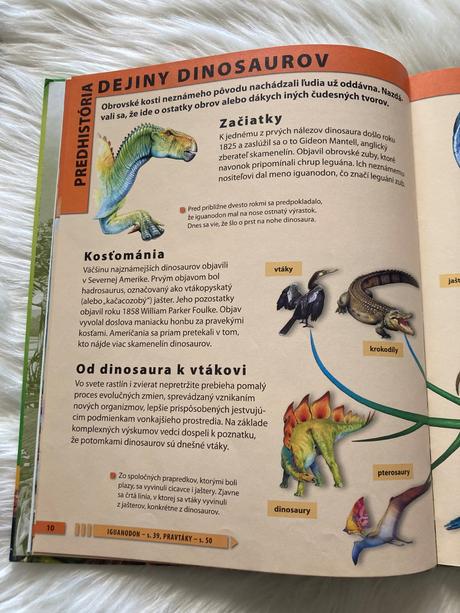 Dinosaury encyklopédia pre deti vo veku 7-10 rokov,