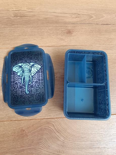 Desiatovy box slon, 
