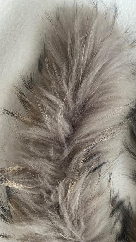 Liujo pravá líška, liu jo