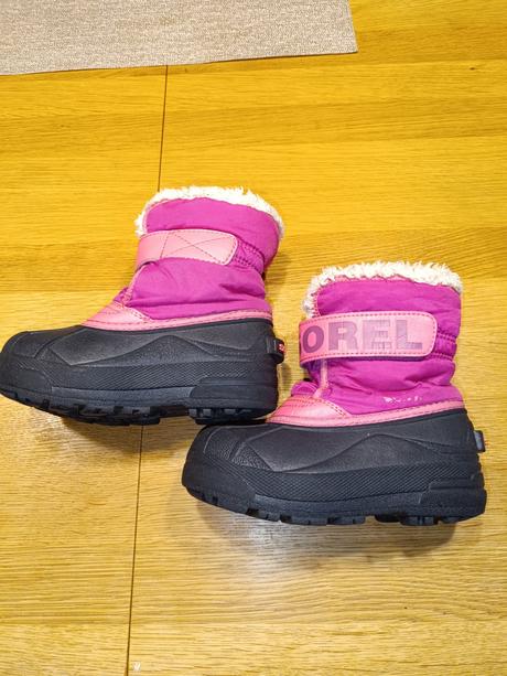 Snehule sorel, sorel,28