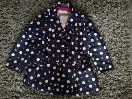 Bodkovaný trenckot, 104