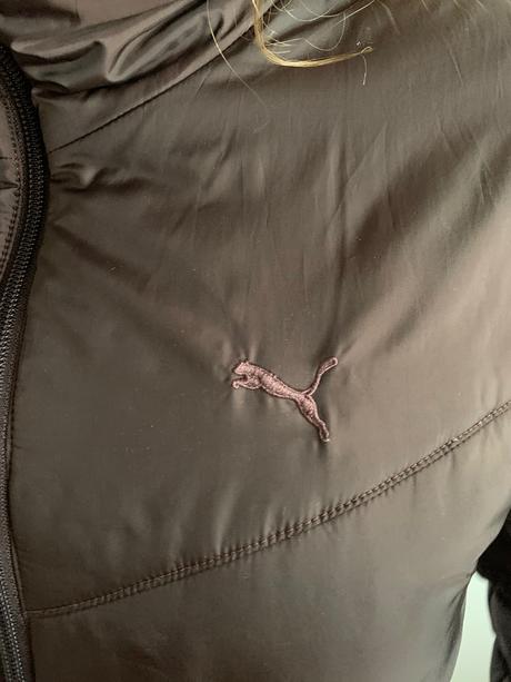 Puma bunda, puma,m