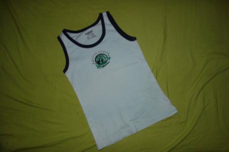 Suprava spodneho pradla lupilu, lupilu,116