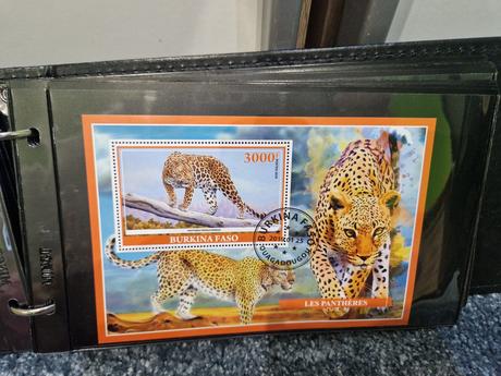 Zberateľský album s arsiky,