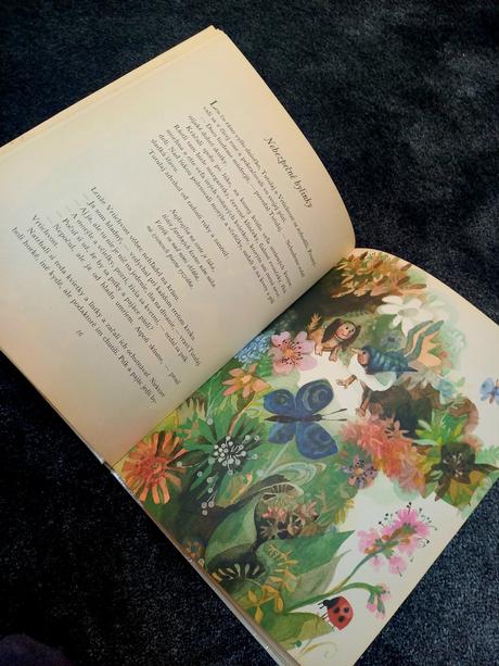 Tutulaj a vrtichvost- retro kniha, 