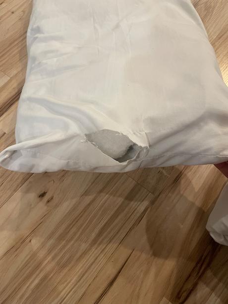 Set paplon s vankus, 