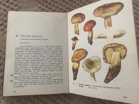 Vreckový atlas húb pilát albert, ušák otto,