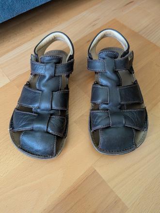 Tikki lasta 31, tikki,31