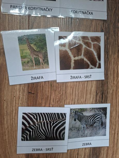 Kartičky - zvierata a ich srst/perie/pancier/supin, 