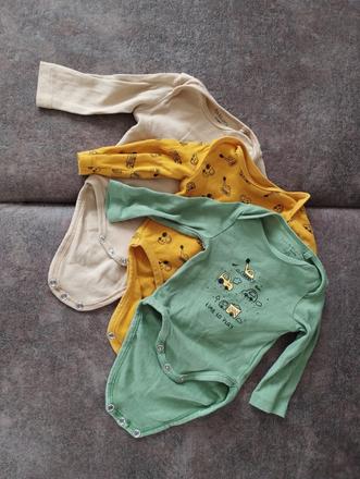 Body, fox & bunny,56