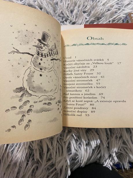 Mini knižka kočičí vánoce samek stefanie,