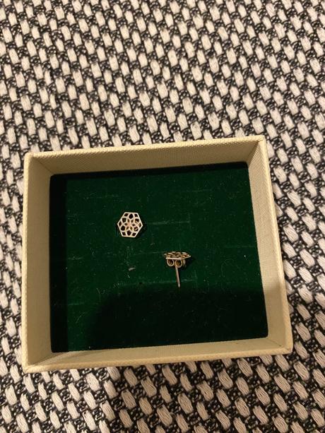 Nausnice strieborne, 