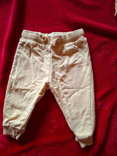 Súprava, fox & bunny,62