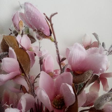 Magnólie s námrazou 3 ks,