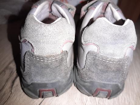 Celokožené elefanten, elefanten,24