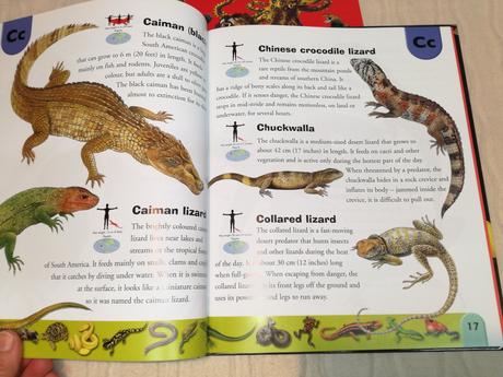 Deadly creatures reptiles & amphibians dict sp20,
