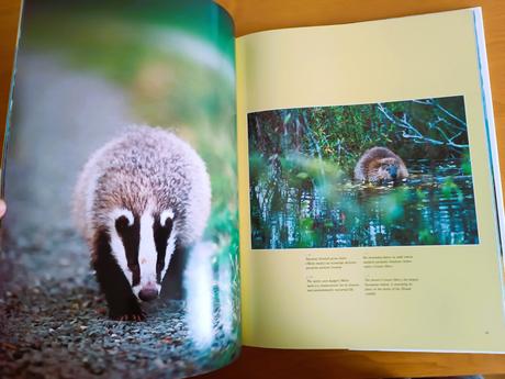 Slovenské národné parky, 