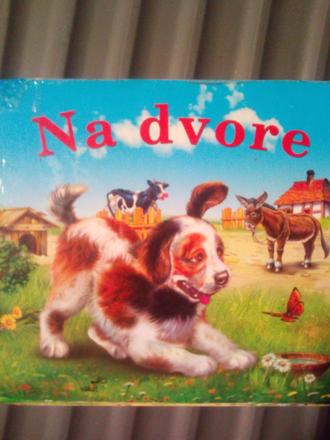 Na dvore s psíkom ô,