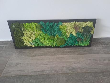 Machový obraz,  živý, 