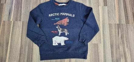 Mikina h&m (arctic mammals), veľ. 110-116 (4-6 r), h&m,110