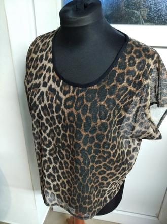 Sieťované top, atmosphere,44