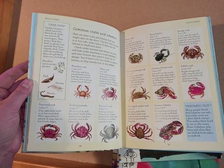 Usborne naturetrail set,