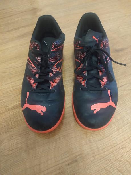 Halovky puma, puma,40