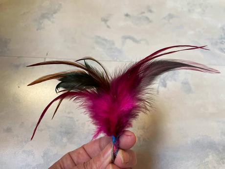 Brošňa z labutienky, 