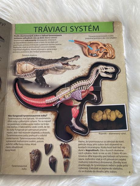 Pozrite sa do útrob dinosaura tyrannosaura,